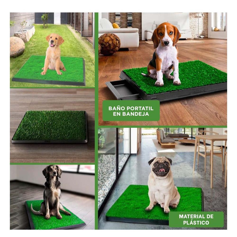 Base Higienica para Perros Mediano Negro Nacional para Casa Y+Post It