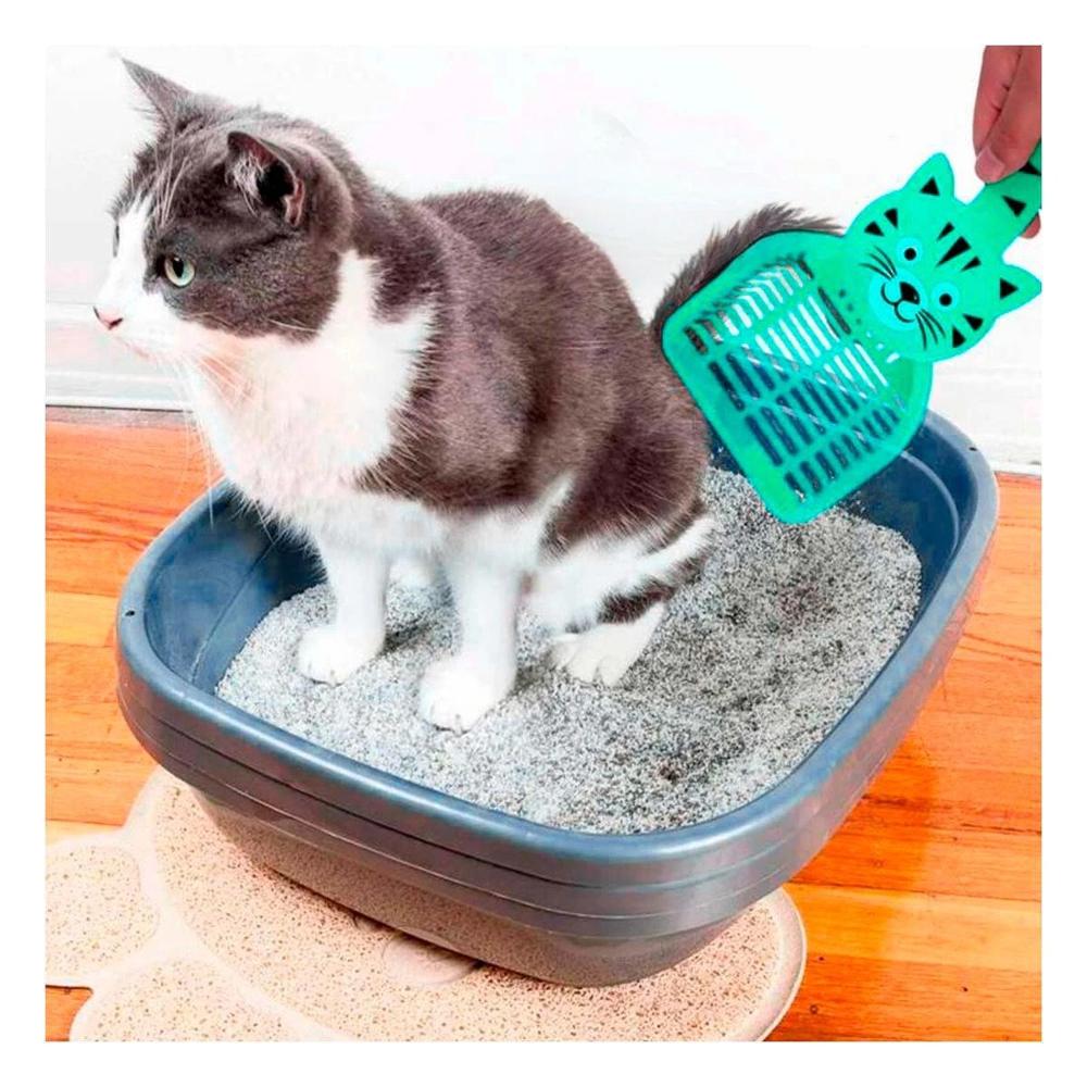 Accesorio Cara De Gato Verde Para Jardin Y Decoracion Navidad Casa Y+Ligas Regalo