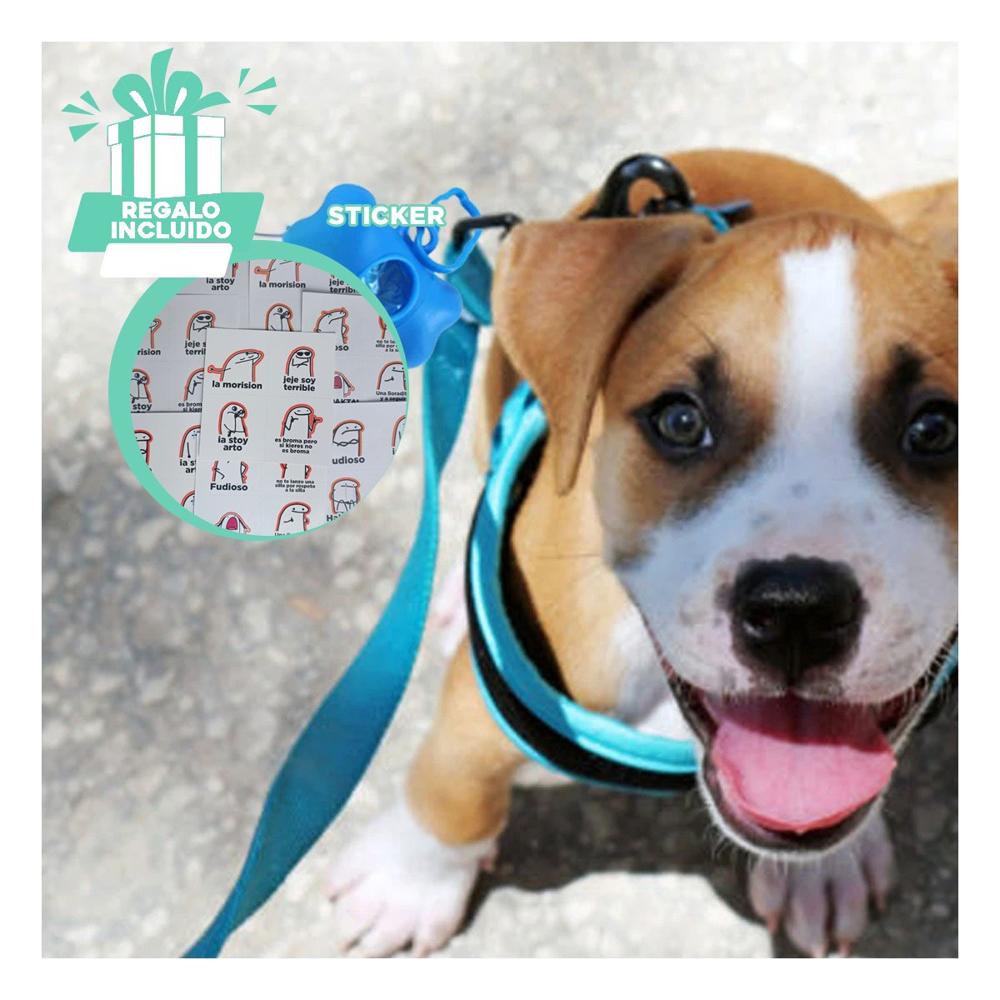 Kit de Bolsa con Protector Tipo Hueso Azul para Mascota Y+Regalo Sticker