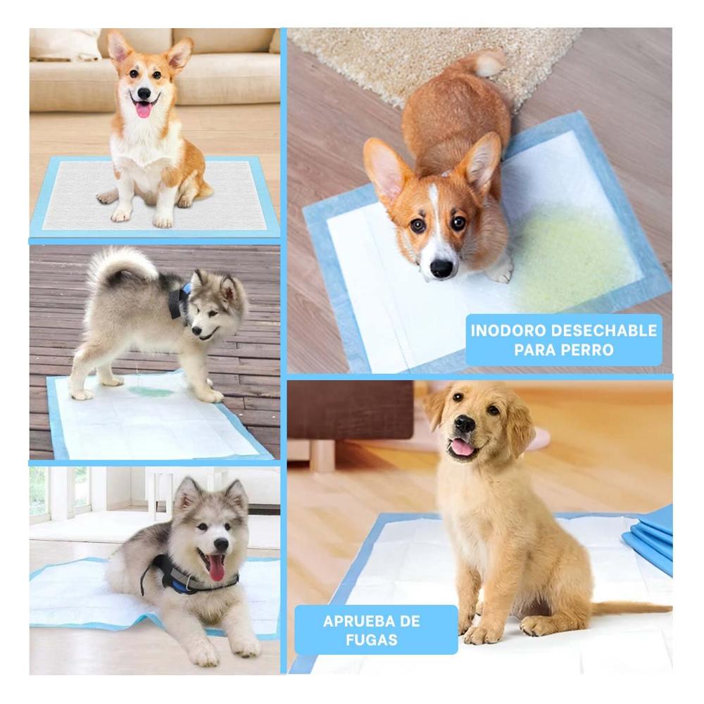 Accesorio de Piso 45x60 Talla M para Perros en Hogar Interior Diario Y+Post It