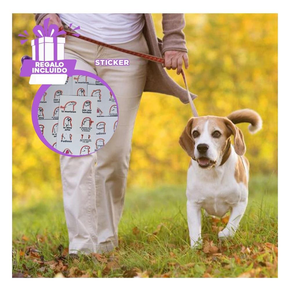 Dispensador de Bolsas Morado para Paseos con Mascota Diseno Compacto Y+Regalo Sticker