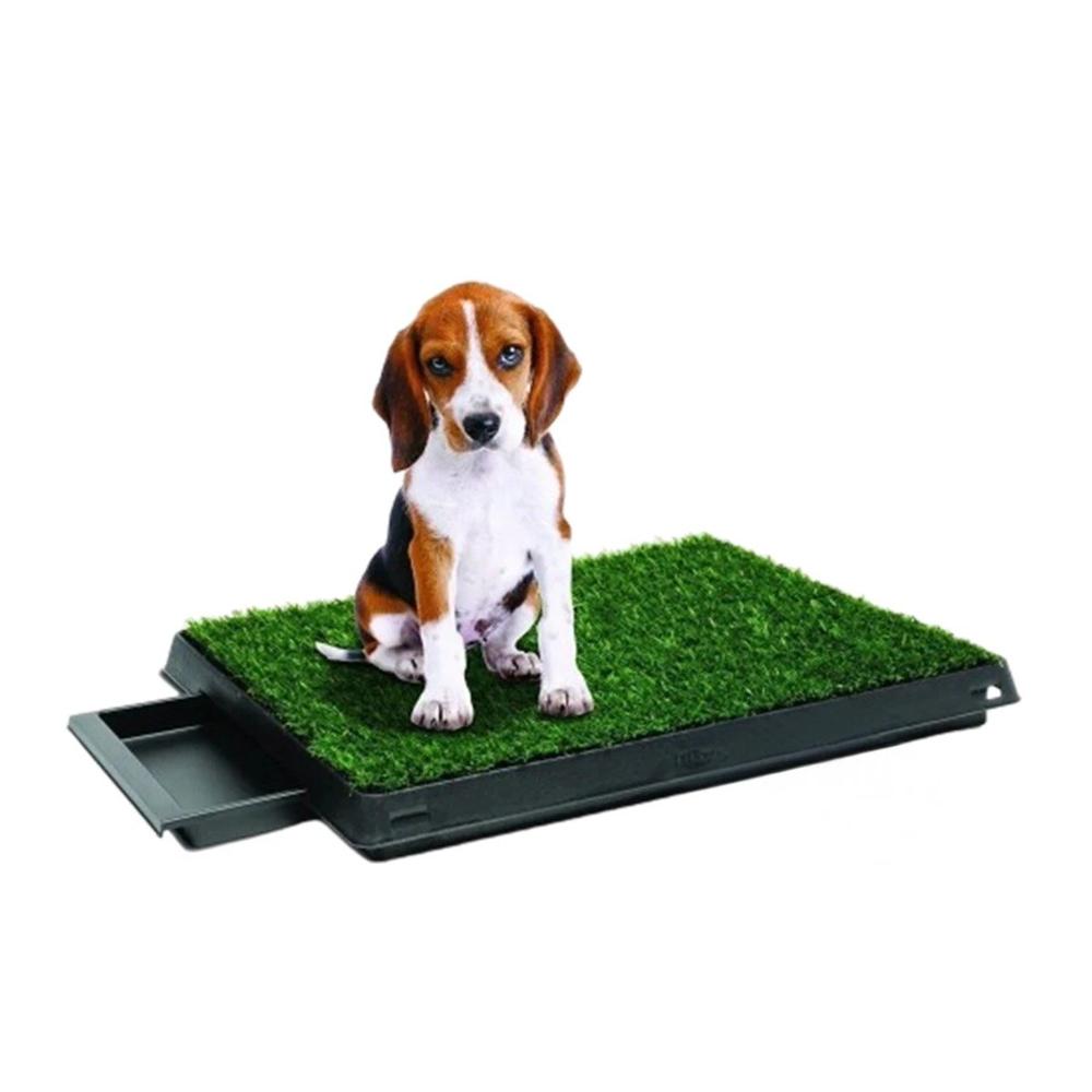 Zona Sanitaria para Perros Mediano Negro Nacional para Casa Y+Papel Regalo