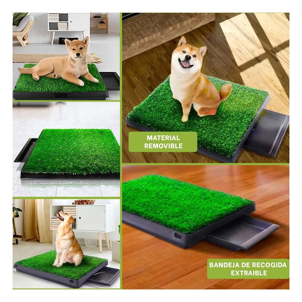 Base Higienica para Perros Grande Negro Comoda para Casa Y+Post It