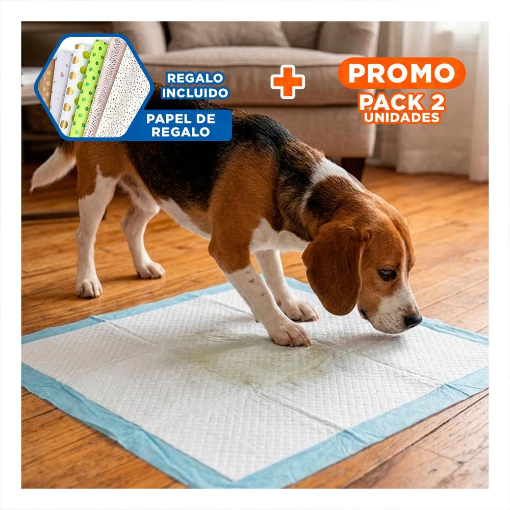 Pack2 Opcion de Piso 60x60 Talla L Celeste para Perros en Hogar Interior Y+Papel Regalo