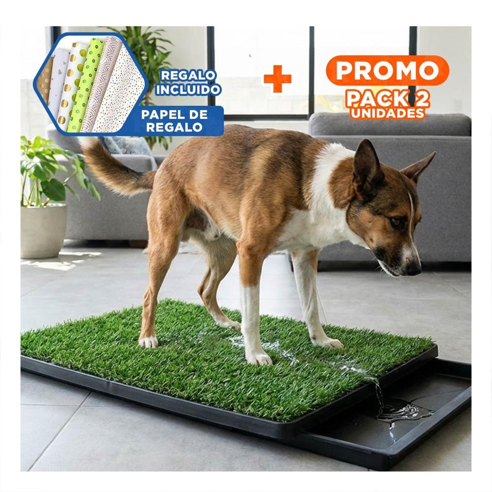 Pack2 Presentacion Higienica para Perros Mediano Negro Nacional para Interior Y+Papel Regalo