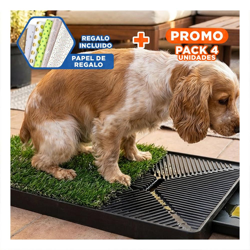 Pack4 Concepto Sanitario para Perros Mediano Negro Nacional para Interior Y+Papel Regalo