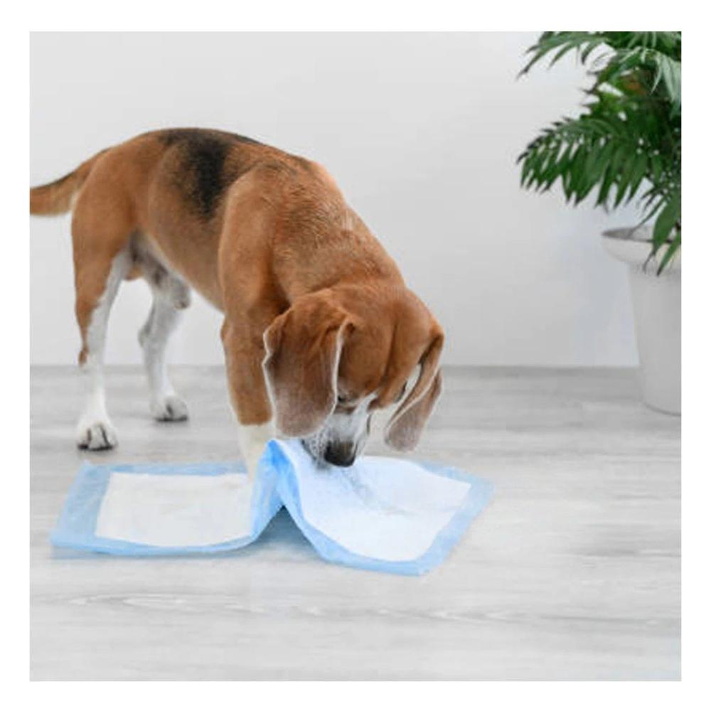 Manta Absorbente de Piso 60x60 Talla L Celeste para Mascotas Uso Diario Y+Ligas Regalo