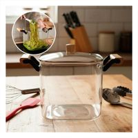 Olla de Borosilicato 5 LITROS