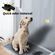 imageUrl_6