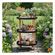 imageUrl_5