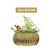 imageUrl_4