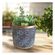 imageUrl_5
