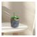 imageUrl_2