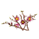 imageUrl_3