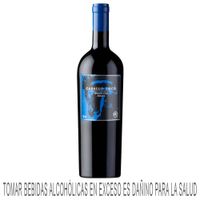 Vino Tinto CABALLO LOCO Grand Cru Apalta Botella 750ml