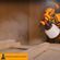 imageUrl_7