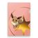 imageUrl_3