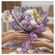 imageUrl_2