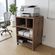 imageUrl_1