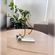imageUrl_2