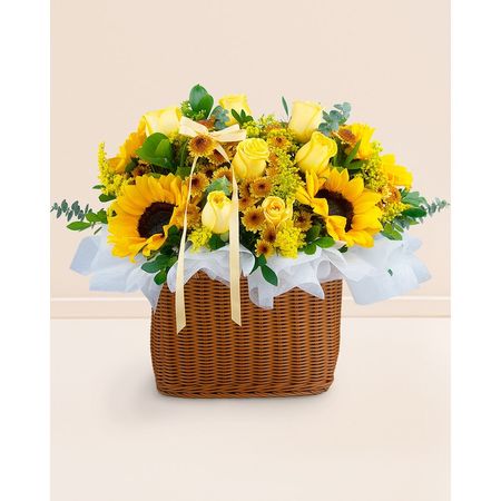 imageUrl_1