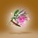imageUrl_5