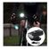imageUrl_5
