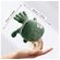 imageUrl_5