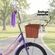 imageUrl_4