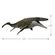 imageUrl_3