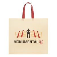 Bolsa Reutilizable UNIVERSITARIO 39x44x1cm
