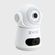 imageUrl_3