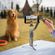 imageUrl_9