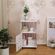 imageUrl_4