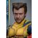 imageUrl_5