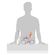 imageUrl_2