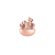 imageUrl_4