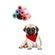 imageUrl_2