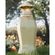 imageUrl_4
