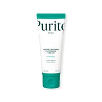 Purito Mighty Bamboo Panthenol Cream 100Ml