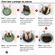 imageUrl_7
