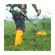 imageUrl_7