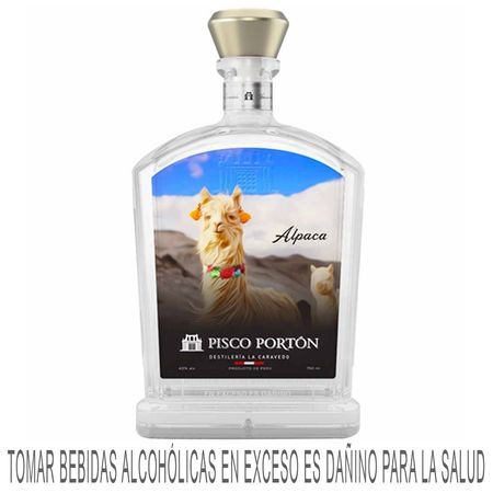 20080877