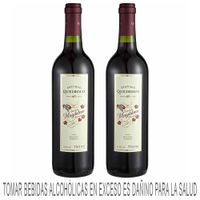 Vino Tinto SANTIAGO QUEIROLO Magdalena Malbec Tannat Pack 750ml
