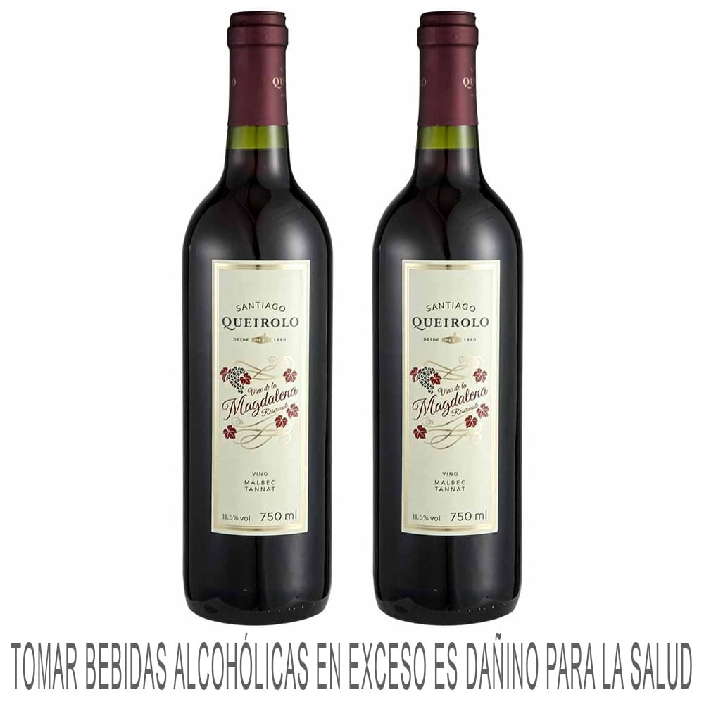 Vino Tinto SANTIAGO QUEIROLO Magdalena Malbec Tannat Pack 750ml