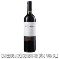 Vino Tinto BENJAMIN Malbec Botella 750ml