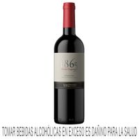 Vino Tinto SAN PEDRO 1865 Carmenere Botella 750ml