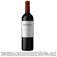 Vino Tinto NIETO SENETINER Tempranillo Botella 750ml
