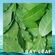 imageUrl_9