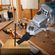 imageUrl_4